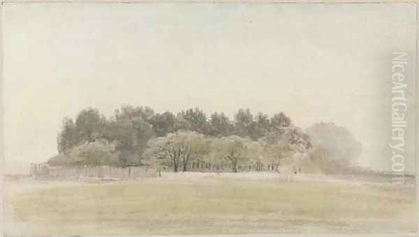Henham Park, Suffolk - view 1