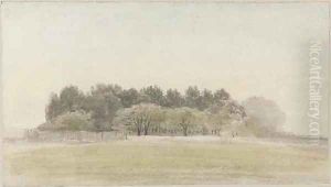 Henham Park, Suffolk by Cornelius Varley
