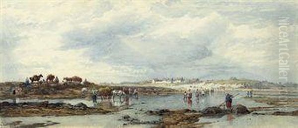 Vraic Gathering, Guernsey - view 1