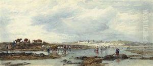 Vraic Gathering, Guernsey