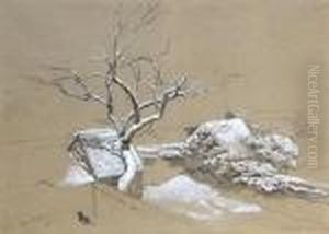 Study Of Snow