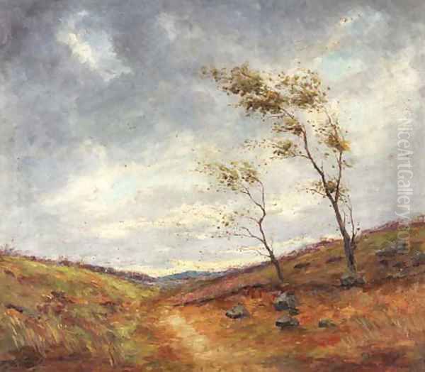 Gentle breezes - view 1