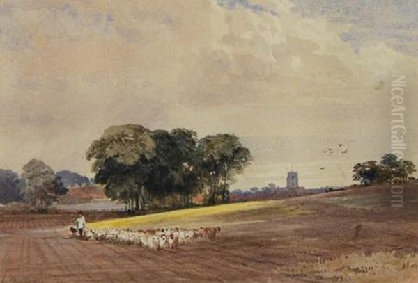 Shepherd And Flock Crossing A Ploughed Field - view 1