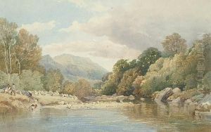 The Sheep Dip