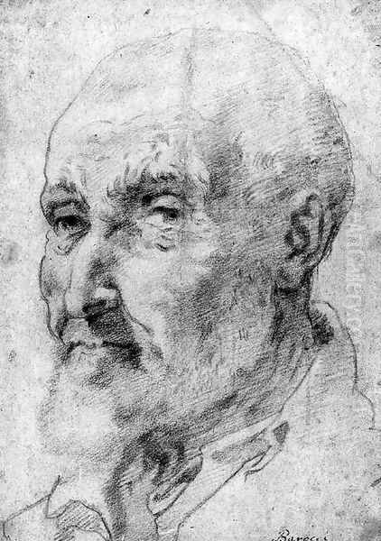 The Head of a bearded Man - view 1