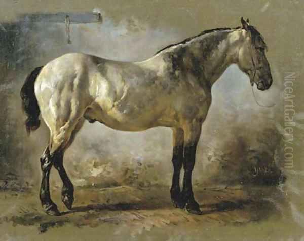Yanko in the stable a white horse - view 1
