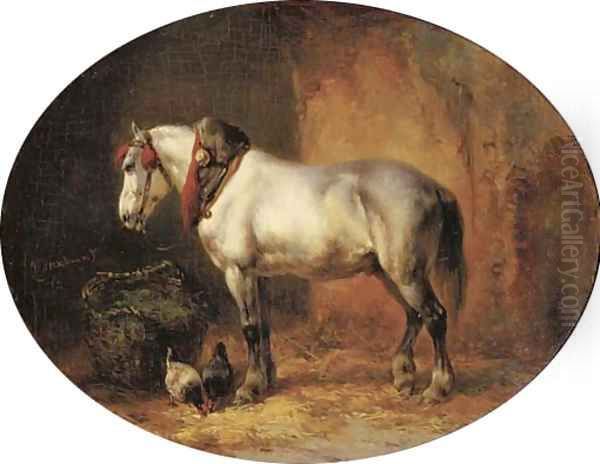 A grey in a stable - view 1