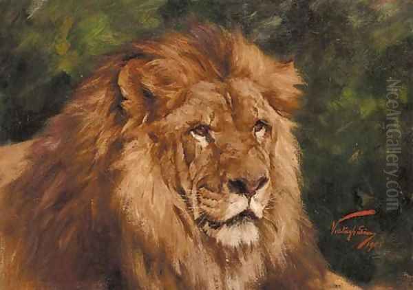 The head of a lion - view 1