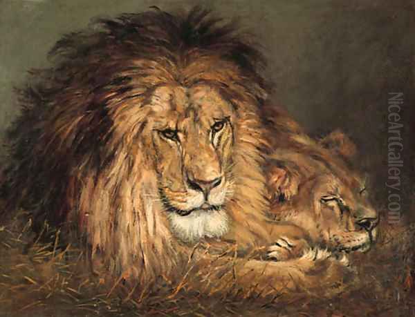 A lion and lioness resting - view 1