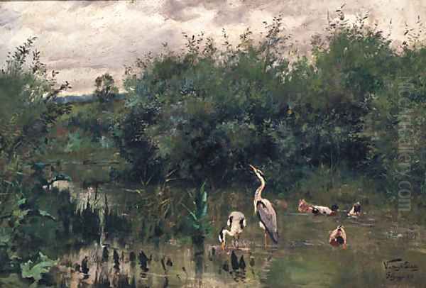 Herons and Ducks in a Lake - view 1