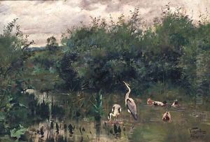 Herons and Ducks in a Lake