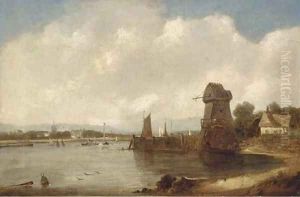 An extensive estuary landscape