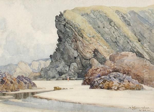 Crigga Beach, Newquay - view 1