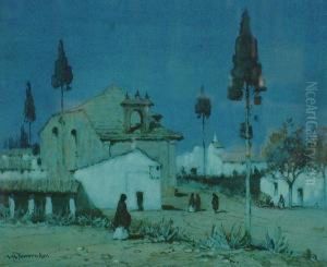 Moonlight Near Utrera, Spain