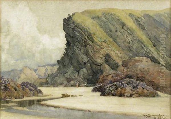 Crigga Beach , Newquay - view 1
