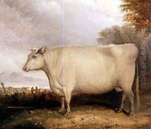 Portrait of a prize cow by John Vine