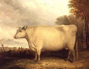 White, Short-horned Cow in a Landscape by John Vine