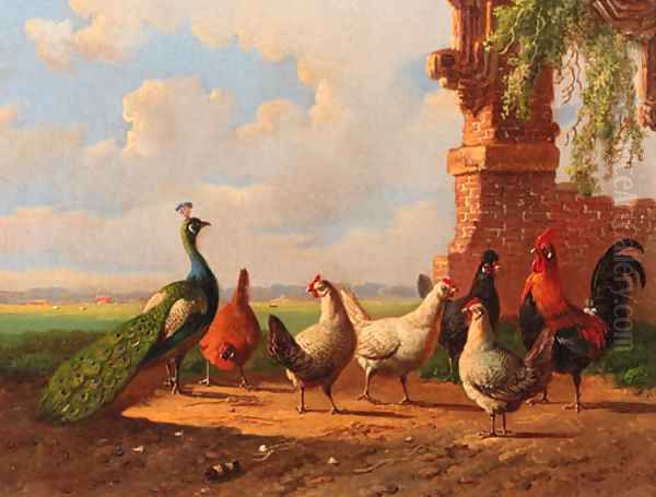 Poultry by ruined walls - view 1