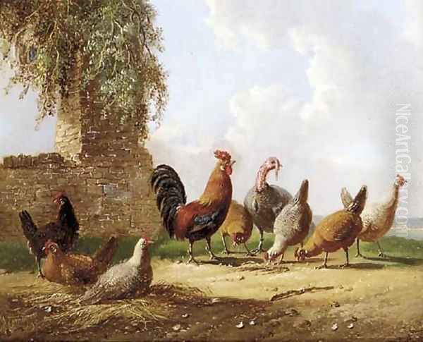 Feathered friends - view 1