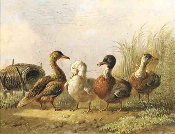Ducks - view 1