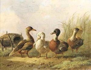 Ducks by Albertus Verhoesen