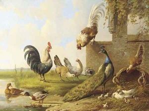 Poultry and a peacock by a ruin 2 by Albertus Verhoesen