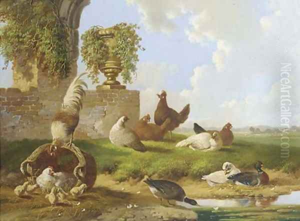 Poultry and ducks by a ruin - view 1