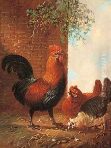 Poultry feeding by a wall by Albertus Verhoesen