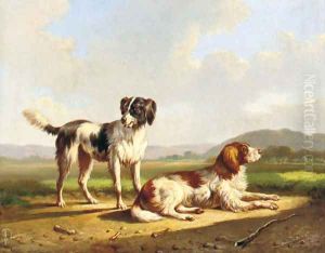 Two hunting dogs in a summer landscape by Albertus Verhoesen