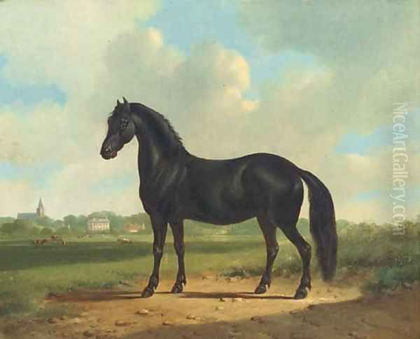 Black beauty - view 1