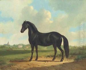 Black beauty by Albertus Verhoesen
