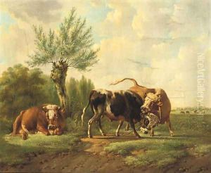 Fighting bulls 2