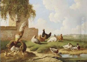 Poultry by a ruin, a country house in the distance by Albertus Verhoesen