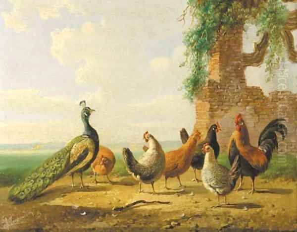 Poultry by ruined walls 2 - view 1