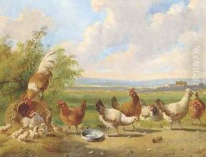 Poultry in a landscape by Albertus Verhoesen