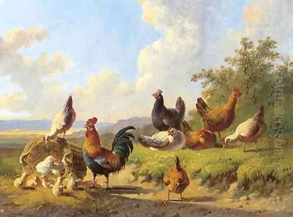 Poultry in a meadow - view 1
