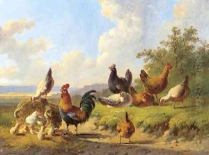 Poultry in a meadow by Albertus Verhoesen