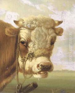 A bull's head