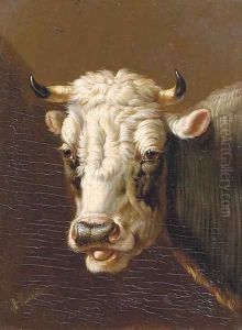 A cow's head by Albertus Verhoesen