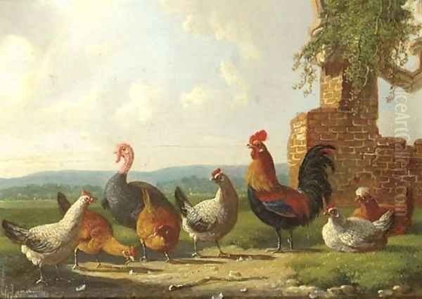A rooster, chickens and a turkey by a ruin - view 1