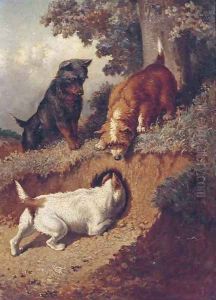 Chasing rabbits by Vincent de Vos
