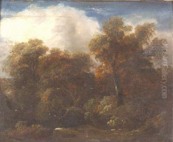 Landscape Withtrees And Rocky Outcrop - view 1