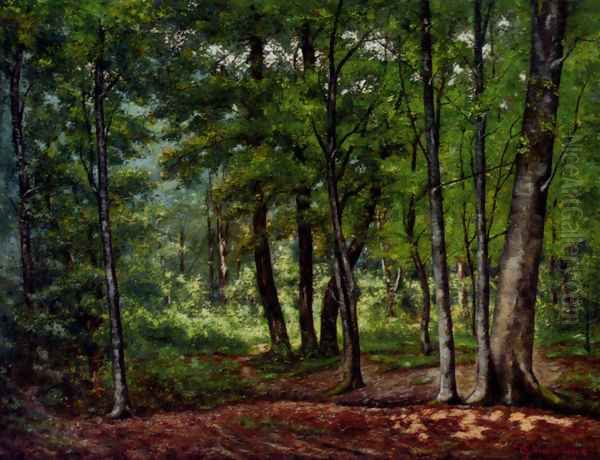 Towards A Woodland Clearing - view 1