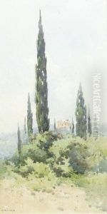 A Villa Amongst Cypress Trees, Corfu