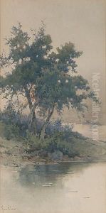 Trees By The Coast, A View Of Corfu Town Beyond by Angelos Giallina