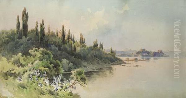 A View Of The Coast Of Corfu - view 1