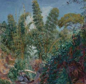 View of Central America by Max Vollmberg