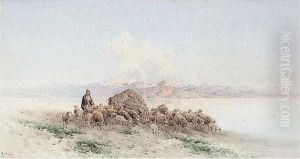 Shepherd And His Flock, Corfu