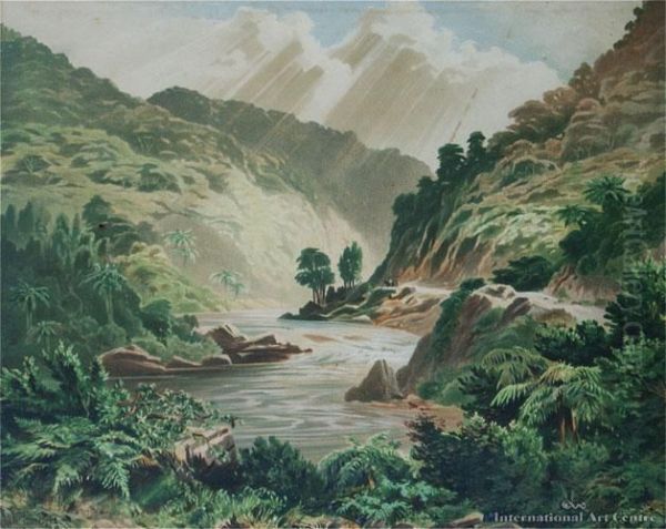 Manawatu Gorge - view 1