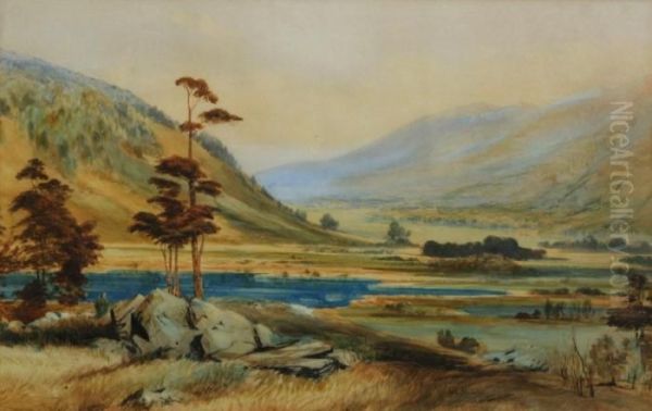 Landscape Near Nelson - view 1